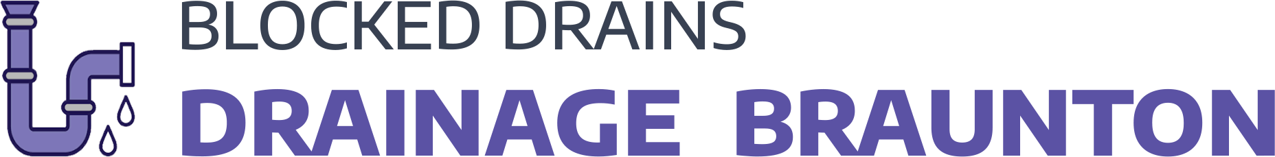 website logo